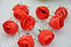 Бутончики розы